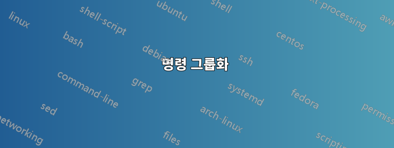 명령 그룹화