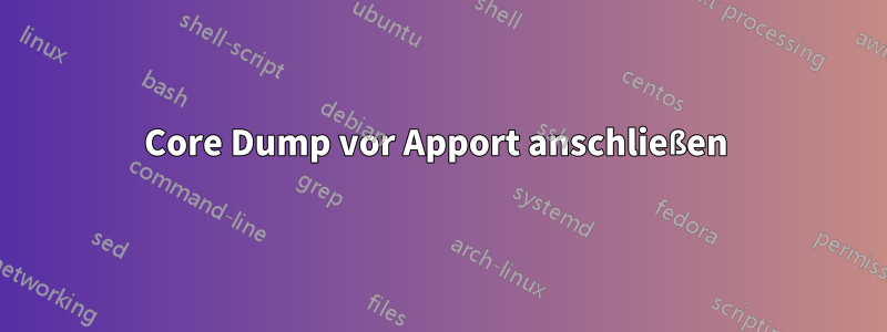 Core Dump vor Apport anschließen 