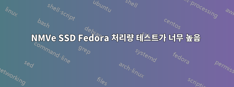 NMVe SSD Fedora 처리량 테스트가 너무 높음