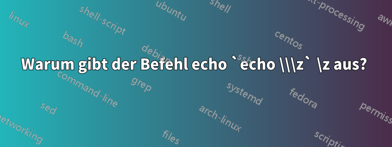 Warum gibt der Befehl echo `echo \\\z` \z aus?