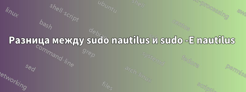 Разница между sudo nautilus и sudo -E nautilus