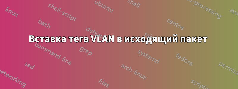 Вставка тега VLAN в исходящий пакет