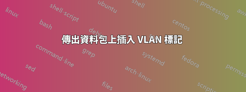 傳出資料包上插入 VLAN 標記