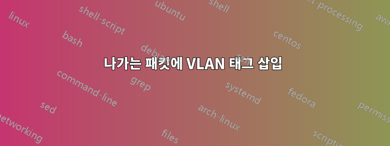 나가는 패킷에 VLAN 태그 삽입