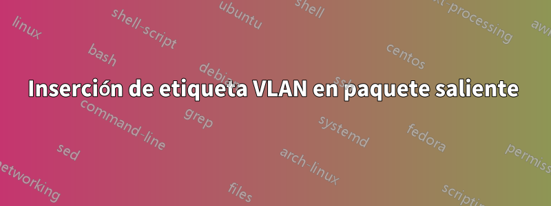 Inserción de etiqueta VLAN en paquete saliente