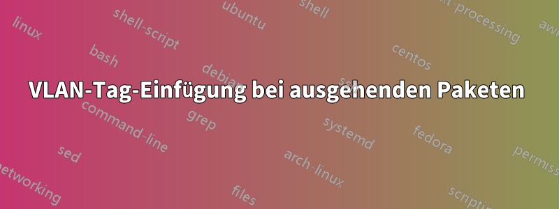 VLAN-Tag-Einfügung bei ausgehenden Paketen
