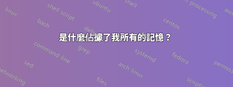 是什麼佔據了我所有的記憶？