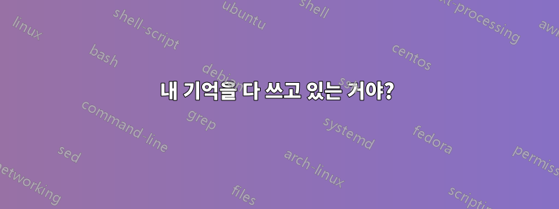 내 기억을 다 쓰고 있는 거야?