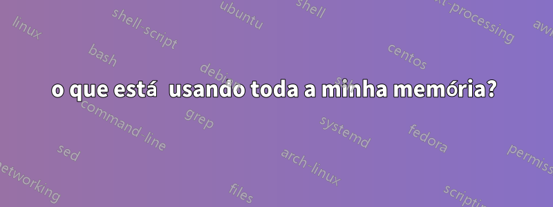o que está usando toda a minha memória?