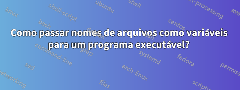 Como passar nomes de arquivos como variáveis ​​para um programa executável?