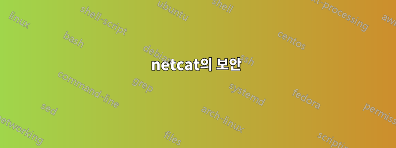netcat의 보안