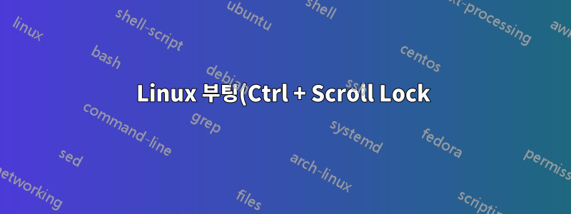 Linux 부팅(Ctrl + Scroll Lock) 키 조합