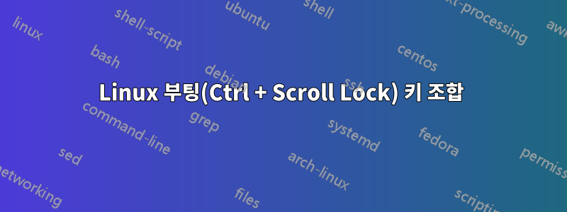Linux 부팅(Ctrl + Scroll Lock) 키 조합