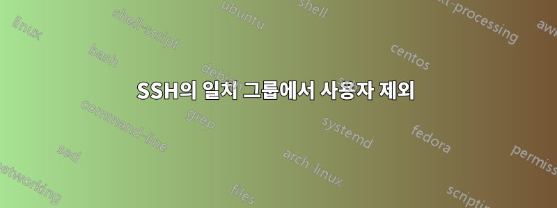 SSH의 일치 그룹에서 사용자 제외