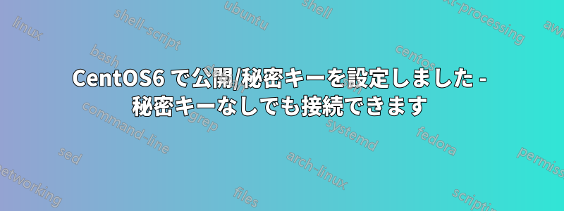 CentOS6 で公開/秘密キーを設定しました - 秘密キーなしでも接続できます