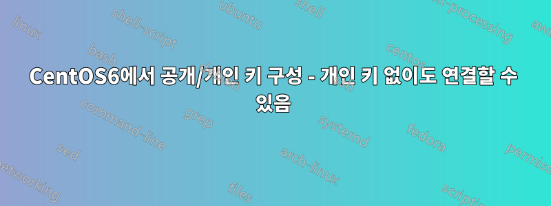 CentOS6에서 공개/개인 키 구성 - 개인 키 없이도 연결할 수 있음