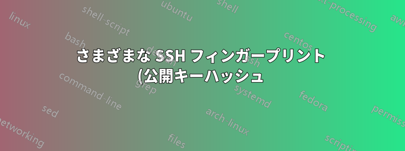 さまざまな SSH フィンガープリント (公開キーハッシュ) 形式を比較するにはどうすればよいですか?