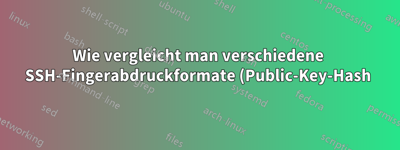 Wie vergleicht man verschiedene SSH-Fingerabdruckformate (Public-Key-Hash)?