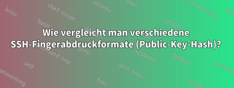 Wie vergleicht man verschiedene SSH-Fingerabdruckformate (Public-Key-Hash)?