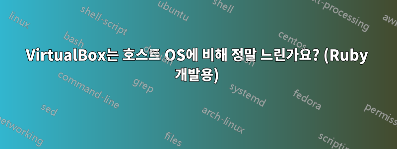 VirtualBox는 호스트 OS에 비해 정말 느린가요? (Ruby 개발용)