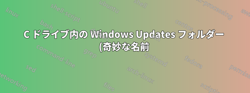C ドライブ内の Windows Updates フォルダー (奇妙な名前)