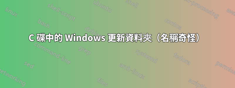 C 碟中的 Windows 更新資料夾（名稱奇怪）