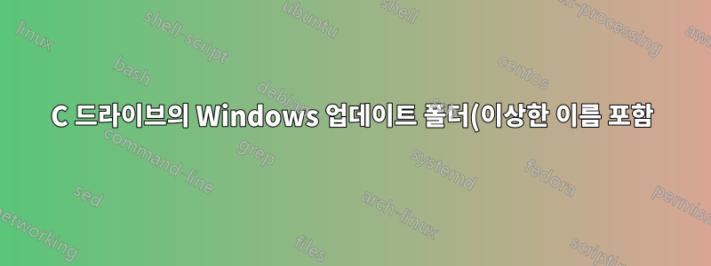 C 드라이브의 Windows 업데이트 폴더(이상한 이름 포함)