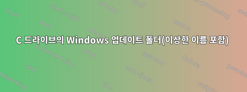 C 드라이브의 Windows 업데이트 폴더(이상한 이름 포함)