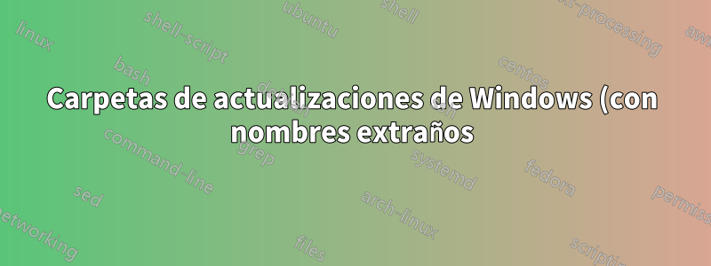 Carpetas de actualizaciones de Windows (con nombres extraños) en la unidad C