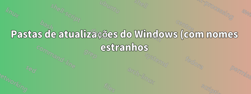 Pastas de atualizações do Windows (com nomes estranhos) na unidade C
