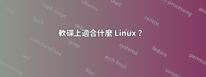 軟碟上適合什麼 Linux？ 