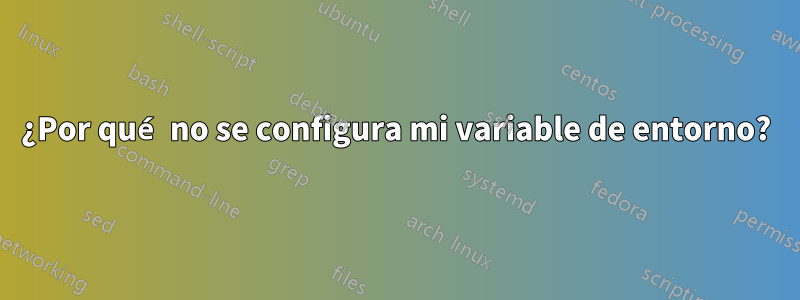 ¿Por qué no se configura mi variable de entorno?
