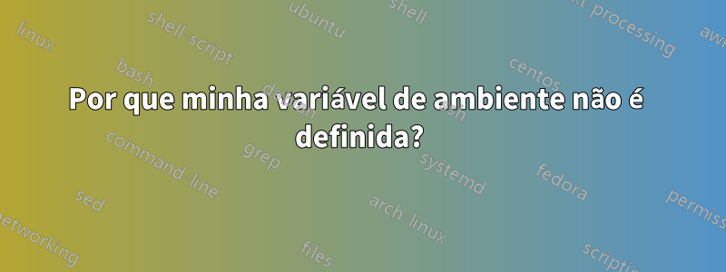 Por que minha variável de ambiente não é definida?