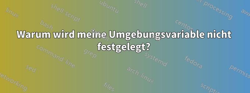 Warum wird meine Umgebungsvariable nicht festgelegt?