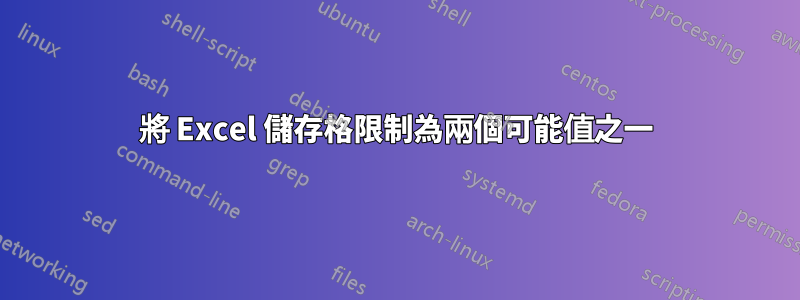 將 Excel 儲存格限制為兩個可能值之一
