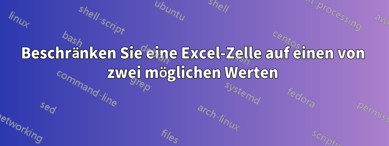 Beschränken Sie eine Excel-Zelle auf einen von zwei möglichen Werten