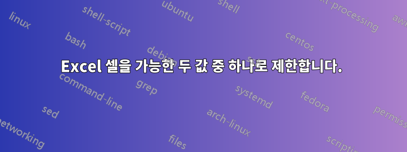 Excel 셀을 가능한 두 값 중 하나로 제한합니다.