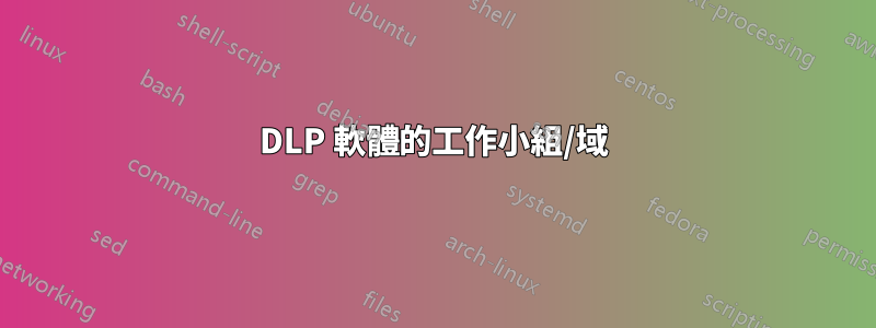 DLP 軟體的工作小組/域