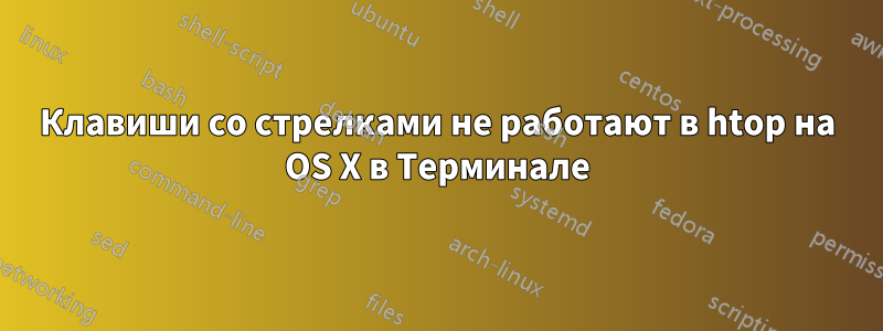 Клавиши со стрелками не работают в htop на OS X в Терминале