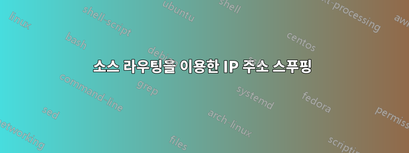 소스 라우팅을 이용한 IP 주소 스푸핑