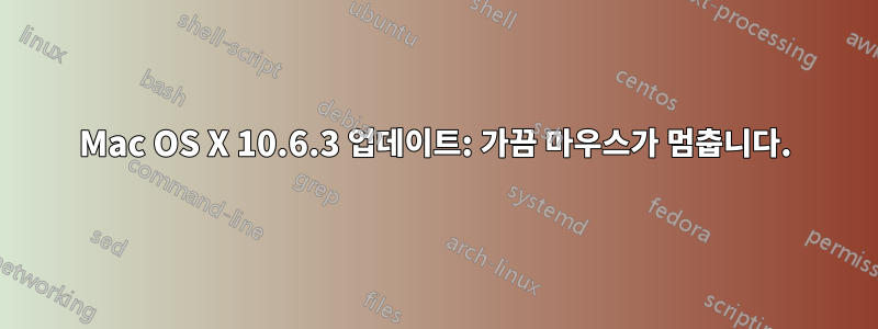 Mac OS X 10.6.3 업데이트: 가끔 마우스가 멈춥니다.