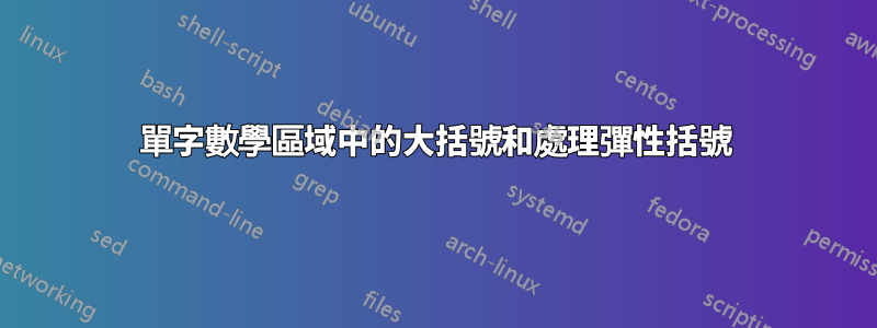 單字數學區域中的大括號和處理彈性括號