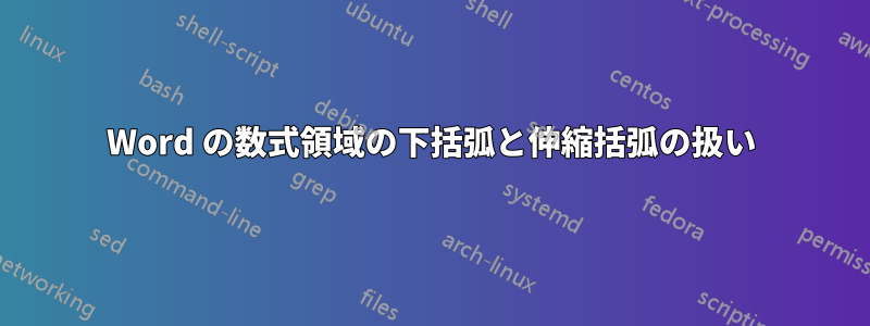 Word の数式領域の下括弧と伸縮括弧の扱い