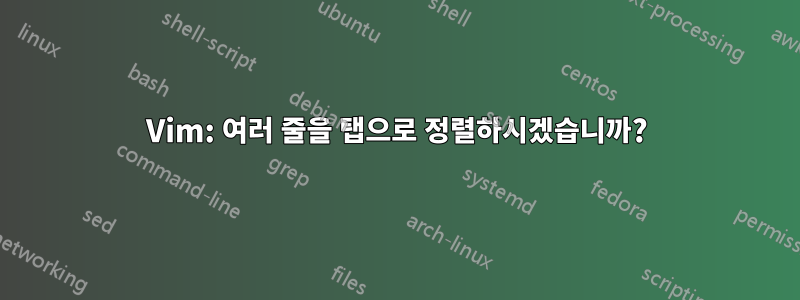 Vim: 여러 줄을 탭으로 정렬하시겠습니까?