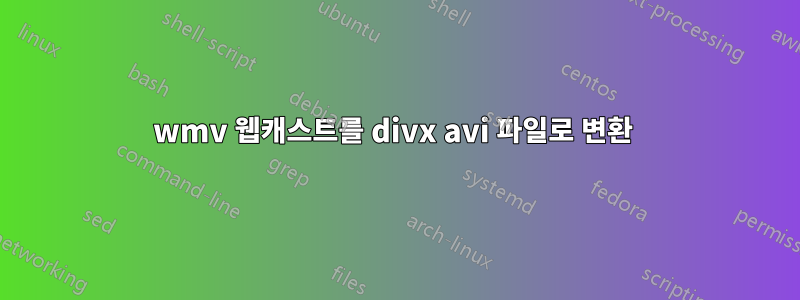 wmv 웹캐스트를 divx avi 파일로 변환 