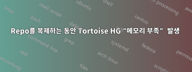 Repo를 복제하는 동안 Tortoise HG "메모리 부족" 발생