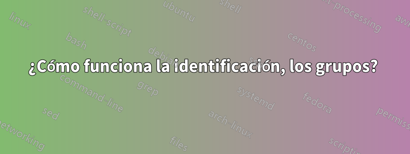 ¿Cómo funciona la identificación, los grupos?