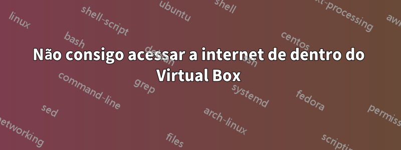 Não consigo acessar a internet de dentro do Virtual Box