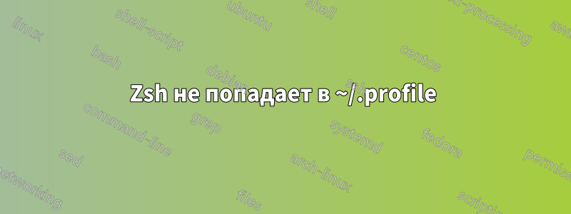Zsh не попадает в ~/.profile