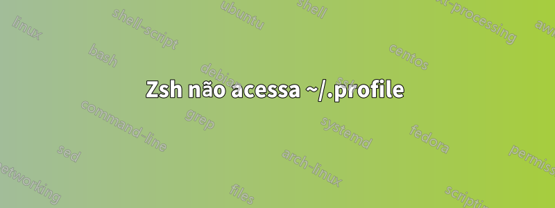 Zsh não acessa ~/.profile